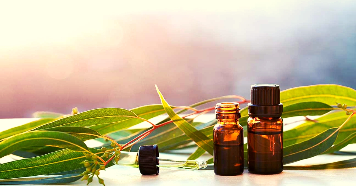 Eucalyptus essential oil benefits