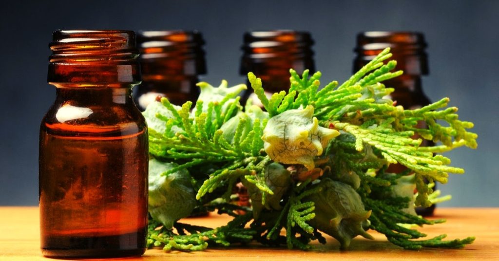 Best Cypress Essential Oil Uses (13+ Practical Ways To Use Effectively!)
