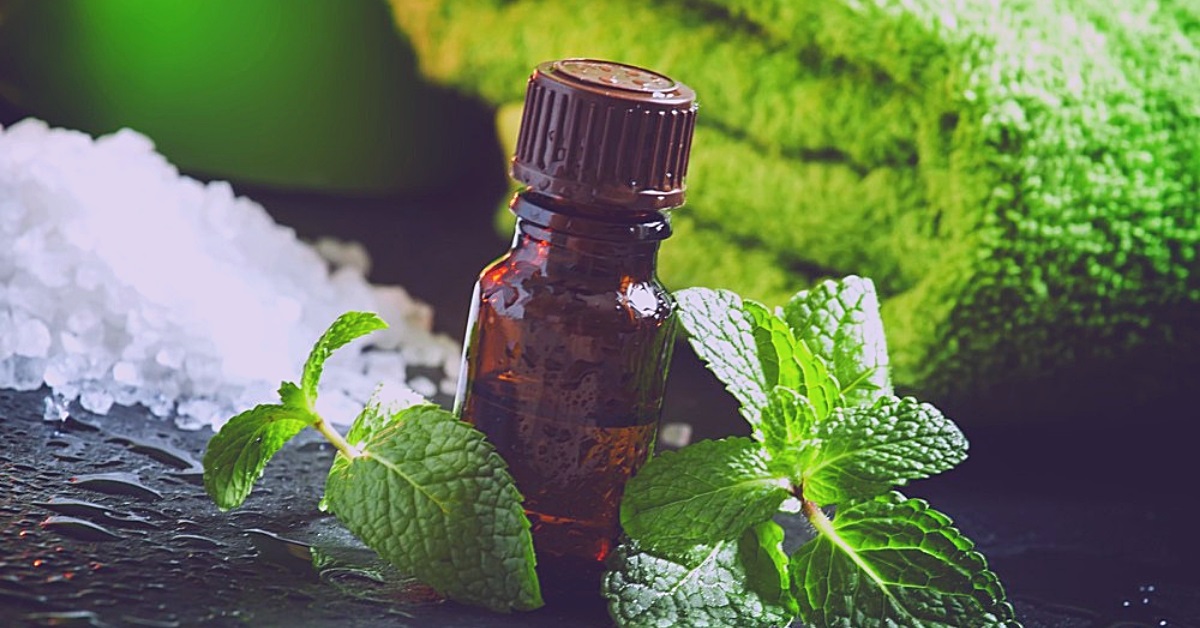 peppermint essential oil uses