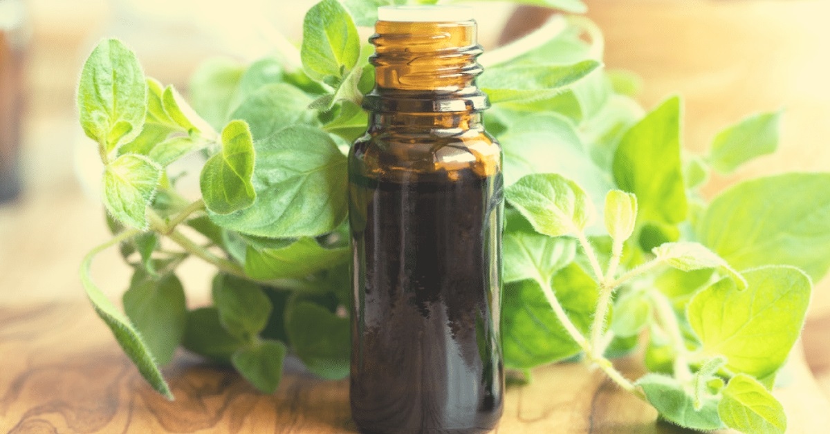 what is oregano essential oil good for